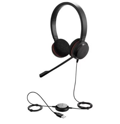 Imagen de AURICULAR EVOLVE 20