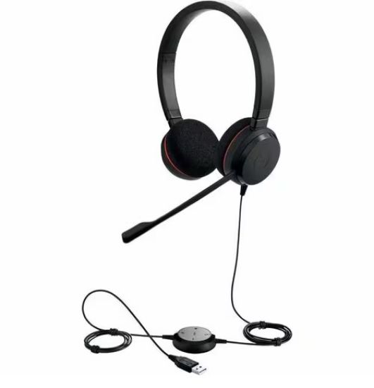 Imagen de AURICULAR EVOLVE 20